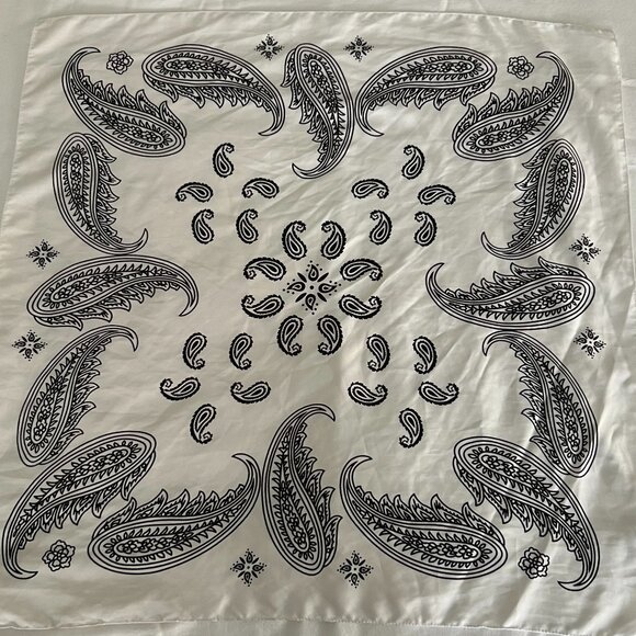 Zara Paisley Scarf - Picture 1 of 2